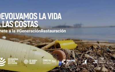 Márgenes y Vínculos apoya la campaña de la ONU “Reimagina, recrea, restaura” por el Día Mundial del Medio Ambiente.